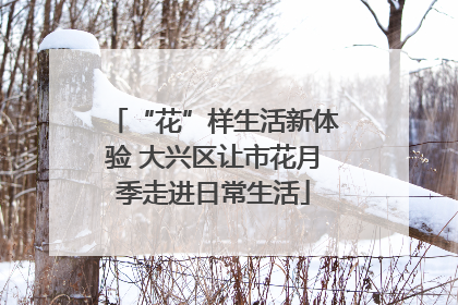 “花”样生活新体验 大兴区让市花月季走进日常生活