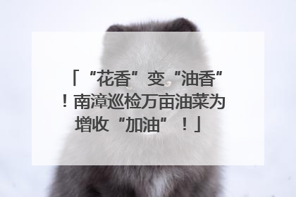 “花香”变“油香”！南漳巡检万亩油菜为增收“加油”！