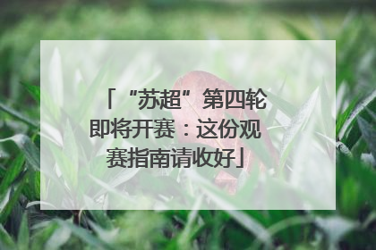 “苏超”第四轮即将开赛：这份观赛指南请收好