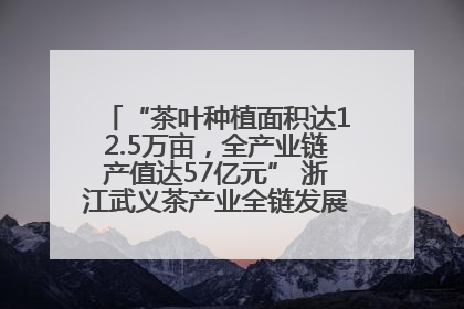 “茶叶种植面积达12.5万亩，全产业链产值达57亿元” 浙江武义茶产业全链发展“加速度”