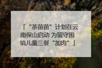 “茶苗苗”计划在云南保山启动 为留守困境儿童三餐“加肉”