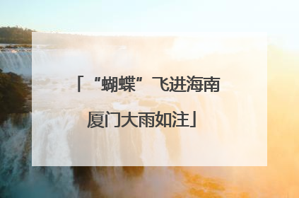 “蝴蝶”飞进海南 厦门大雨如注