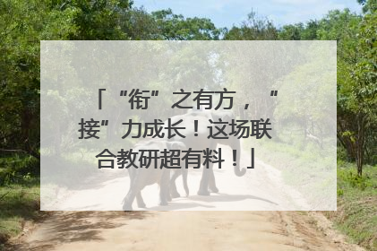 “衔”之有方，“接”力成长！这场联合教研超有料！