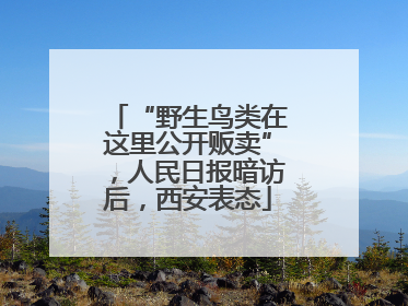 “野生鸟类在这里公开贩卖”，人民日报暗访后，西安表态