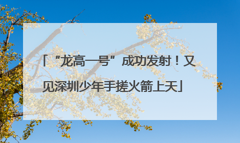 “龙高一号”成功发射！又见深圳少年手搓火箭上天