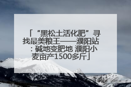 “黑松土活化肥”寻找最美粮王——濮阳站：碱地变肥地 濮阳小麦亩产1500多斤
