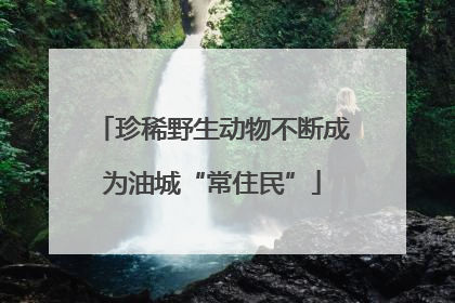 珍稀野生动物不断成为油城“常住民”