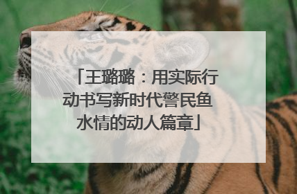 王璐璐：用实际行动书写新时代警民鱼水情的动人篇章