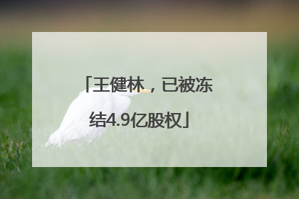 王健林，已被冻结4.9亿股权