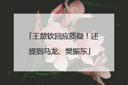 王楚钦回应质疑！还提到马龙、樊振东