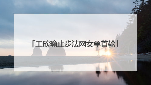 王欣瑜止步法网女单首轮