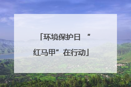 环境保护日 “红马甲”在行动