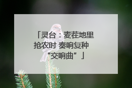 灵台：麦茬地里抢农时 奏响复种“交响曲”