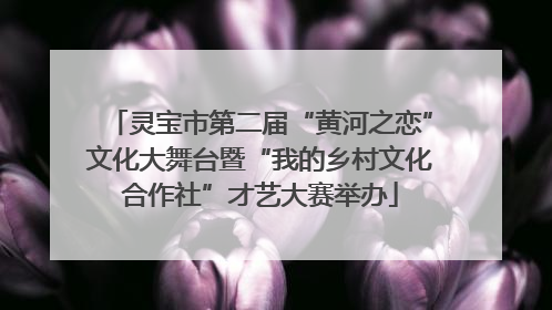 灵宝市第二届“黄河之恋”文化大舞台暨“我的乡村文化合作社”才艺大赛举办