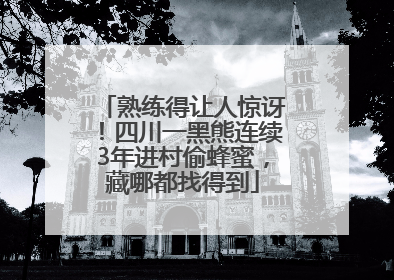 熟练得让人惊讶！四川一黑熊连续3年进村偷蜂蜜，藏哪都找得到