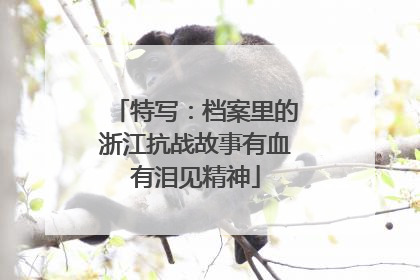 特写：档案里的浙江抗战故事有血有泪见精神