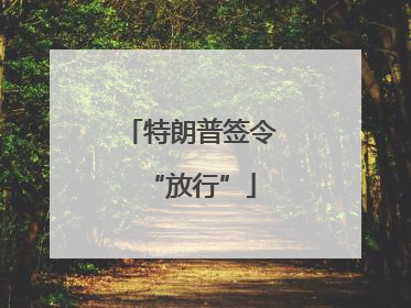 特朗普签令“放行”