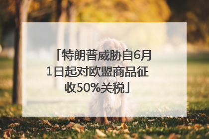 特朗普威胁自6月1日起对欧盟商品征收50%关税