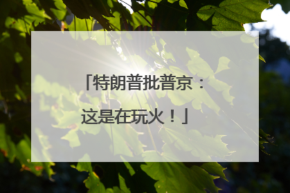 特朗普批普京：这是在玩火！