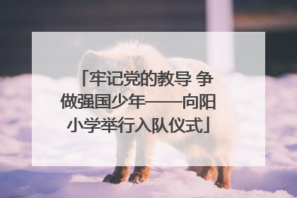 牢记党的教导 争做强国少年——向阳小学举行入队仪式