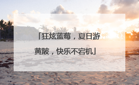 狂炫蓝莓，夏日游黄陂，快乐不宕机