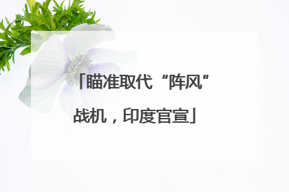 瞄准取代“阵风”战机，印度官宣