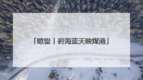 瞭望丨碧海蓝天映煤港