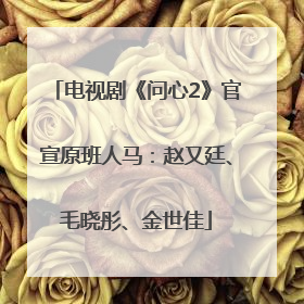 电视剧《问心2》官宣原班人马：赵又廷、毛晓彤、金世佳