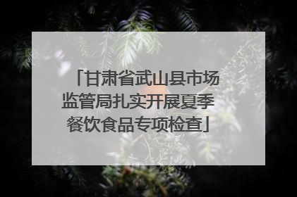 甘肃省武山县市场监管局扎实开展夏季餐饮食品专项检查
