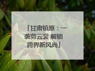甘肃镇原：一袭剪云裳 解锁跨界新风尚