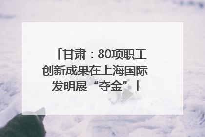 甘肃：80项职工创新成果在上海国际发明展“夺金”