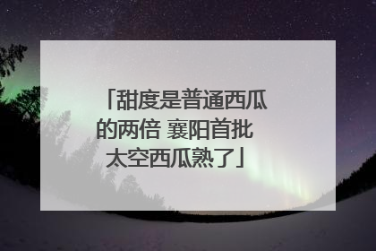 甜度是普通西瓜的两倍 襄阳首批太空西瓜熟了