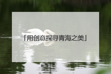 用创意探寻青海之美
