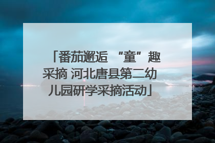 番茄邂逅 “童”趣采摘 河北唐县第二幼儿园研学采摘活动
