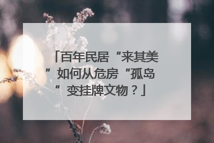 百年民居“来其美”如何从危房“孤岛”变挂牌文物？