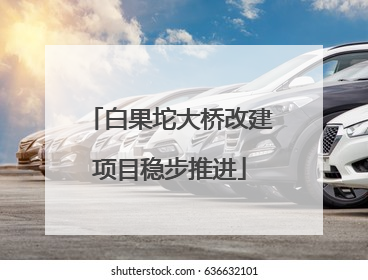 白果坨大桥改建项目稳步推进