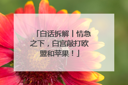 白话拆解丨情急之下，白宫敲打欧盟和苹果！