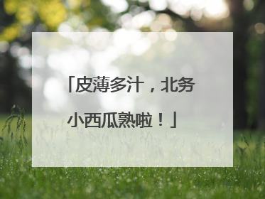皮薄多汁，北务小西瓜熟啦！