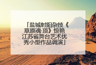 盐城射阳杂技《草原魂·顶》惊艳江苏省舞台艺术优秀小型作品调演