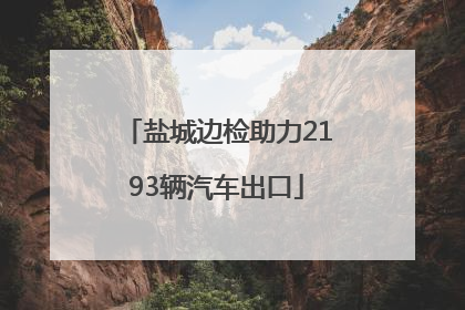 盐城边检助力2193辆汽车出口