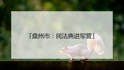 盘州市：民法典进军营
