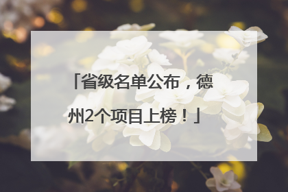 省级名单公布，德州2个项目上榜！