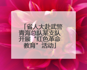 省人大赴武警青海总队某支队开展“红色革命教育”活动