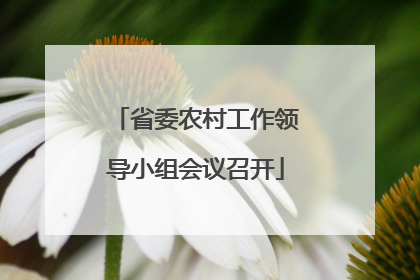 省委农村工作领导小组会议召开
