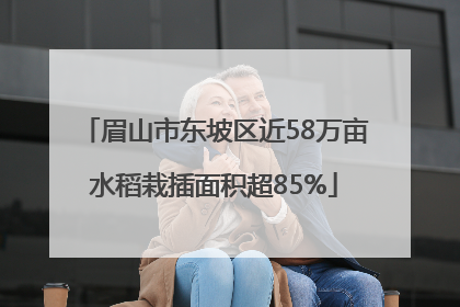 眉山市东坡区近58万亩水稻栽插面积超85%