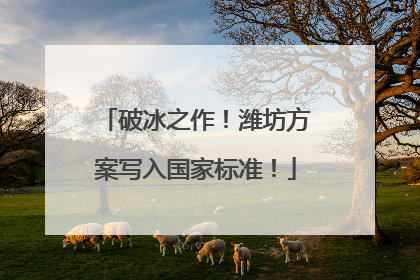 破冰之作！潍坊方案写入国家标准！