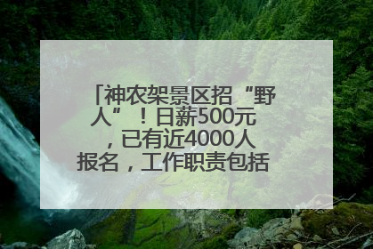 神农架景区招“野人”！日薪500元，已有近4000人报名，工作职责包括“接受游客投喂”