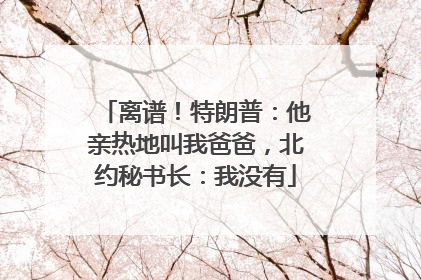 离谱！特朗普：他亲热地叫我爸爸，北约秘书长：我没有