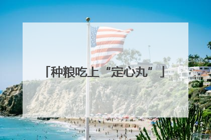 种粮吃上“定心丸”