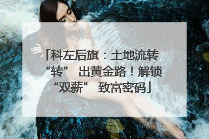 科左后旗：土地流转 “转” 出黄金路！解锁 “双薪” 致富密码